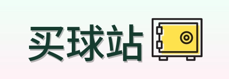 买球站官方网站